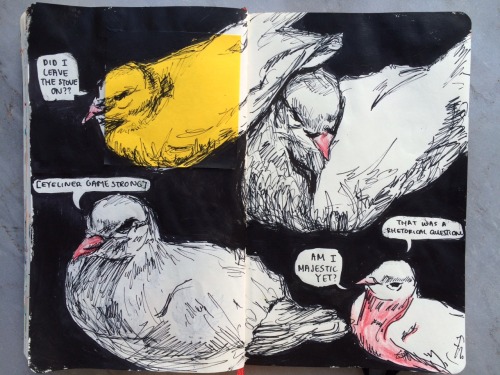 thorinshielding: chased some birdies in the park today