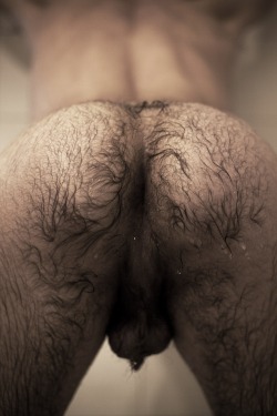 xxxberlin:  hairy tempje 