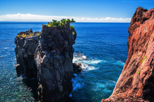 Coastal Cliffs and Sea Stack (Jogasaki Coast, Shizuoka Prefecture)The sea stack (left) has varying s