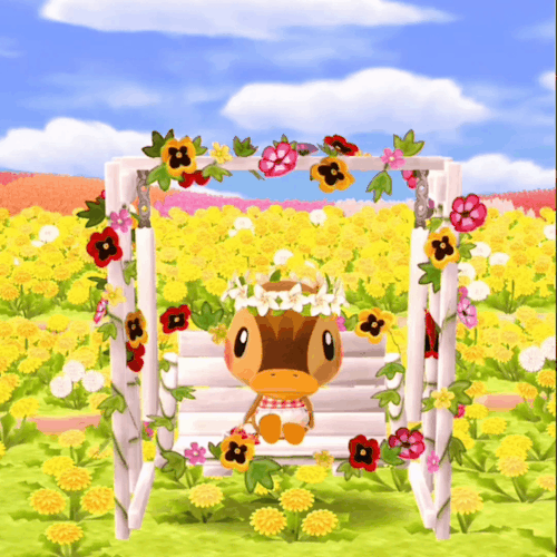 Molly! 🦆🌼🌻