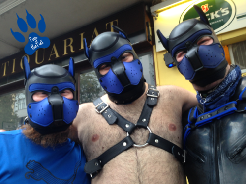 Rufus And Friends Visiting IN DOG WE TRUST-Party @ Scheune Berlin