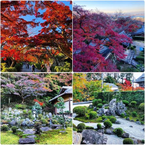 ＼おにわさん更新情報／ [ 滋賀県大津市 ] 西教寺庭園 Saikyo-ji Temple Garden, Otsu, Shiga の写真・記事を更新しました。 ーー #明智光秀 によって再興され、国