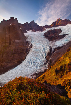 radivs:  'Beauty of Ice' by Trevor Anderson via 500px 
