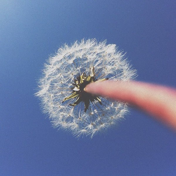 unknowneditors:  Brock Davis - Iphone Photos  Website: facebook / tumblr / twitter