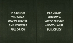  Jenny Holzer 