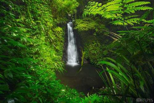 oceaniatropics:Gwongurai Falls, Toolona Creek, NSW/South-East Queensland border, Australia, by Pawel