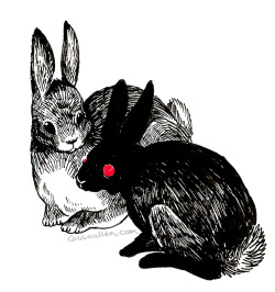 callendraws:Watership Down is getting a remake