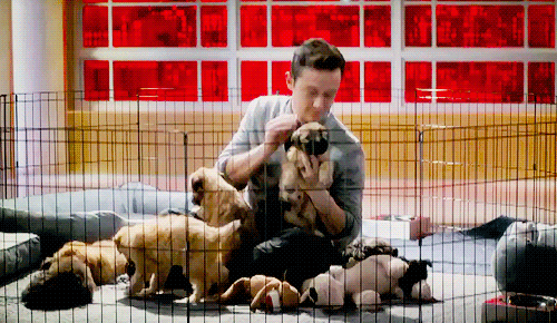 dailyjosephgordonlevitt:  Joseph Gordon-Levitt + Puppies in ‘The Interview’