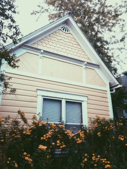 miss-mandrake:  our tiny yellow cottage surrounded