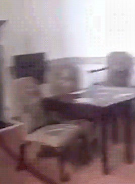 paranormaldaily:   A young couple caught footage of what they believe could be the