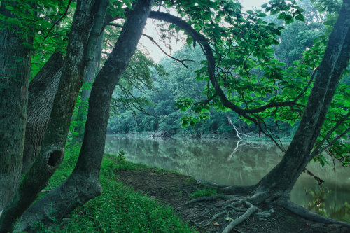 River in Delaware, OH by ~arnaudperret