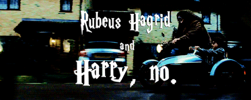 antoniosvivaldi:  Harry Potter Funny Book Titles: coming soon! Text credits: (x) & (x) 