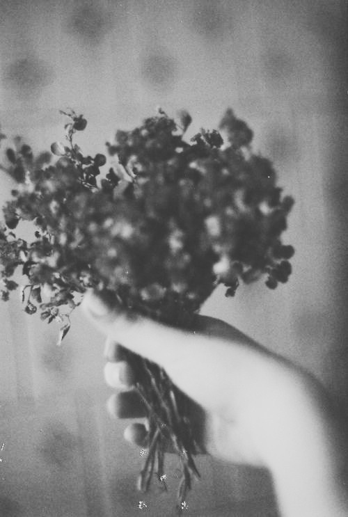 tumblr photo miuda-pequena 0