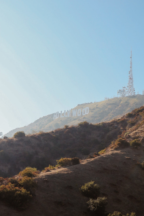 hollywood, california