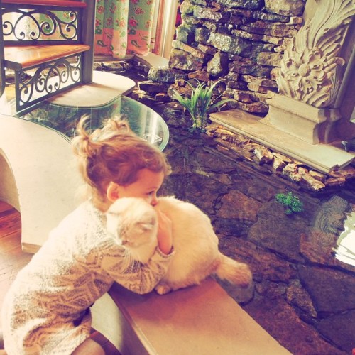 taylorswift:We look over and Dixie is hugging Olivia, they’re just lost in this kitten/toddler