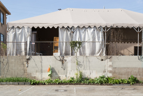 The Secrets Gardens of Los Angeles’ Chinatown Location: Los AngelesLos Angeles’s Chinato