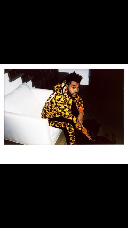 hausofabel: Bape x XO