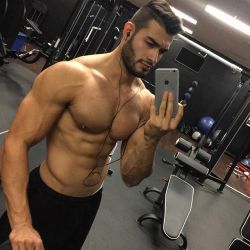 hotstudsdaily:  Sam Asghari