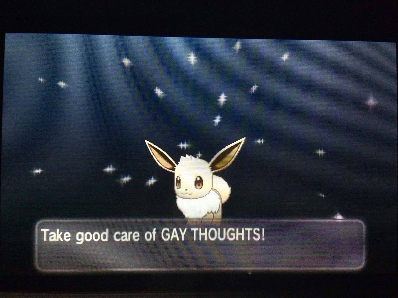 manaphy:  WHO IS THE TUMBLR USER THAT SENT ME THIS 