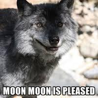 hey bitches