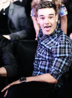 turdy seven
