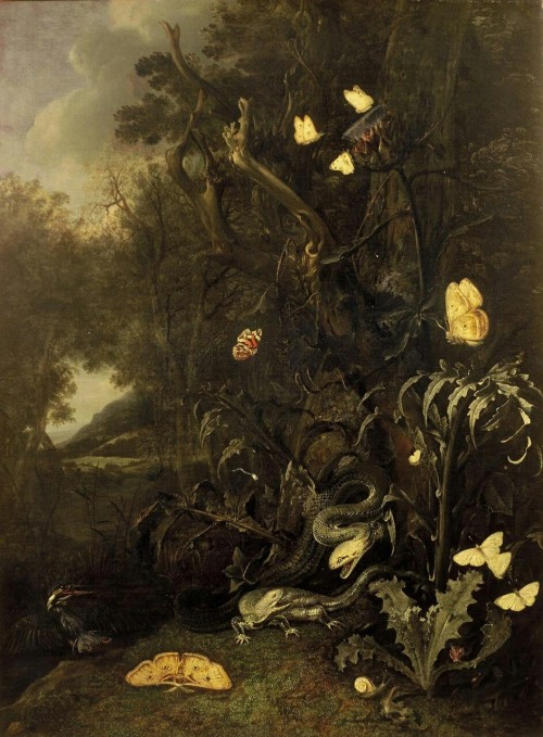 eumycota:  Otto Marseus van Schrieck  