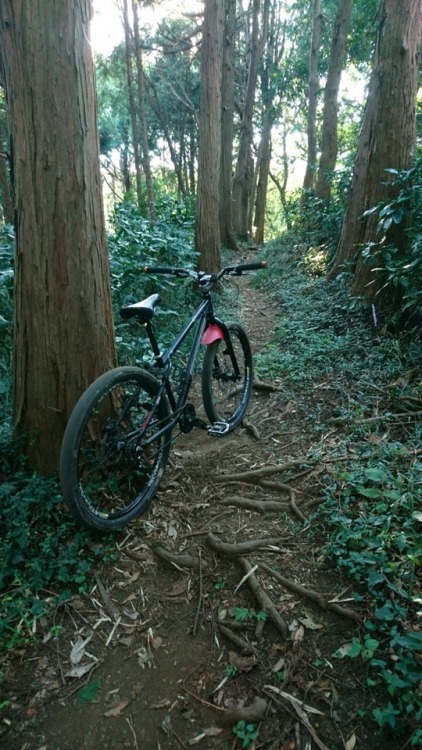 krs955: trail ride before raining.