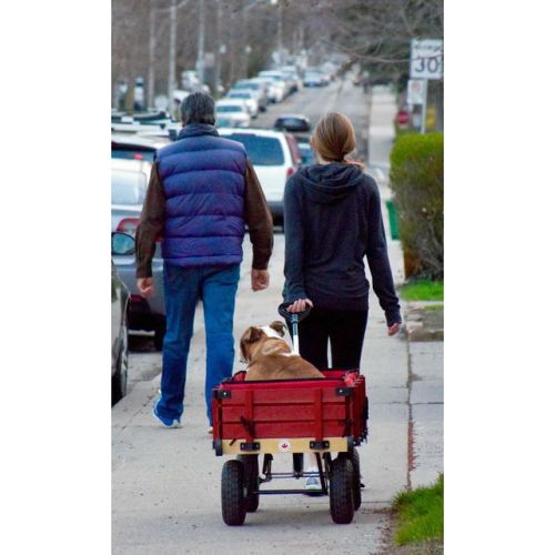 Wagon walk . . . #toronto #wgda #capturestreets #streetphotography #magnumphotos #spicollective #str