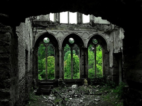 rixwilson: Hafodunos Hall ruins in Llangernyw, North Wales