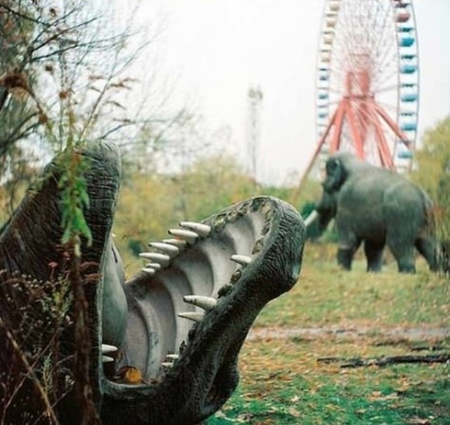 paolathesavage:  10knotes:  Abandoned Amusement Park in New Orleans    Aka the creepiest