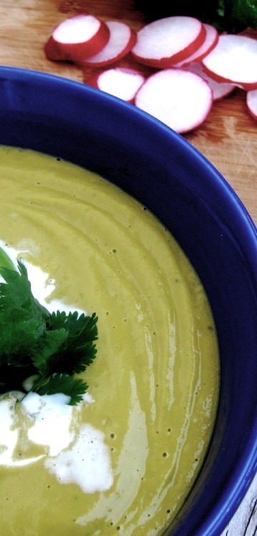 Crema De Aguacate Mexican Avocado Soup