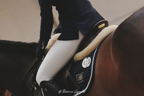 Saut Hermès 2018. © Roxanne Legendre for PegaseBuzz, the smart equestrian media AppDownload for iOS 