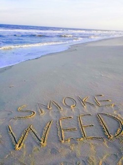 weed-holic:  Even if you don’t smoke. follow