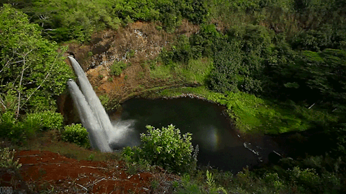 panajan:    A few moments in Kauai, Hawaii.﻿  