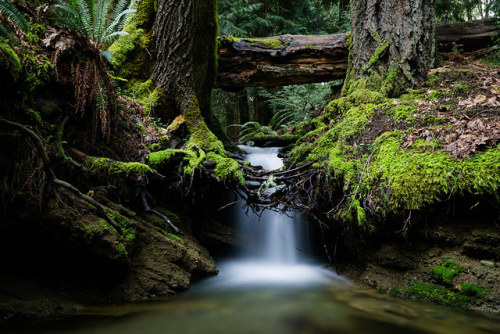 Splitting Giants by Bryn Tassell on Flickr.