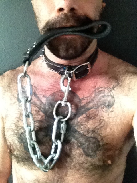 RUBBER-PUPPY RUGI