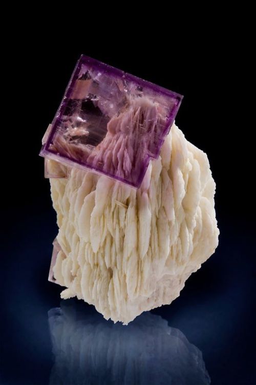 Near perfectionA lovely transparent purple cube of fluorite is sitting pretty atop bladed crystals o