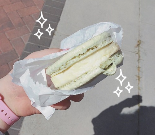 i had a green tea macaron ice cream sandwich and it was so good i made a girl based off of it :9