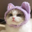 cat938