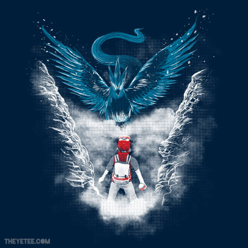 Porn photo theyetee:  Ice Bird Encounter by ellygeh