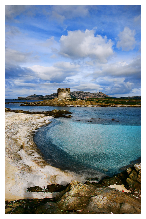 Isola Piana, Golfo de Asinara &ndash; Cerdeña. da MANUEL RUBIO