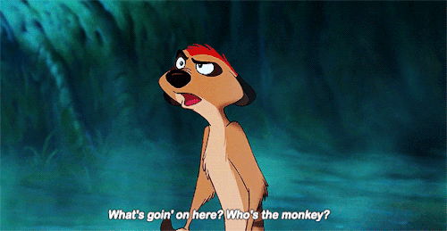 filmgifs:The Lion King (1994) dir. Roger Allers & Rob Minkoff