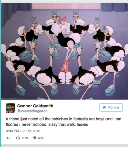 Sometransgal:  Theshehulkproject:   Link. Tweets: A Friend Just Noted All The Ostriches