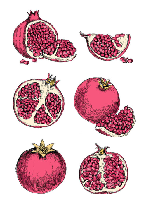 transannecarson:Pomegranates by May van Millingen