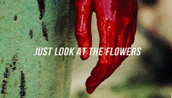sansastarkt:  Lizzie. I’m sorry I yelled at you. Just look at the flowers, like