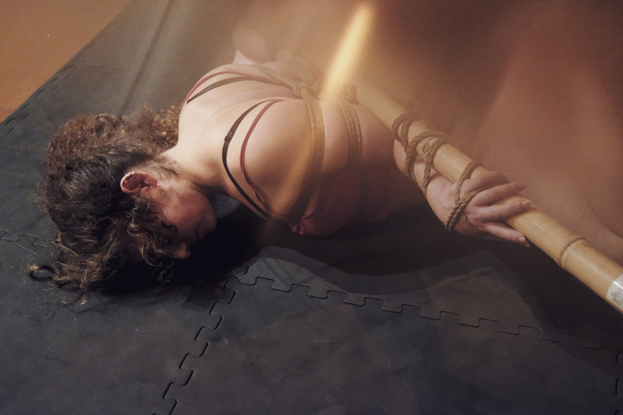 theropediary:  Moments from a floor tie with AliceTheWolfe in Boston a couple days