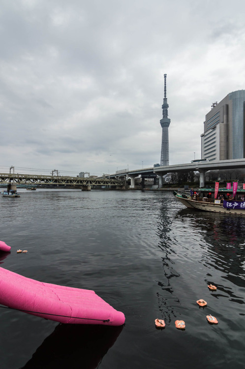 Edo Nagashibina is a ceremony that originated during the Heian era. Children send into the Sumida ri