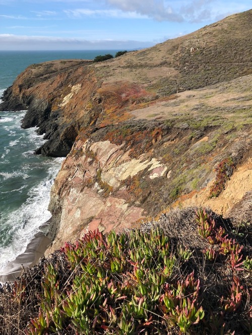 MARIN HEADLANDS, CA: sweet views.