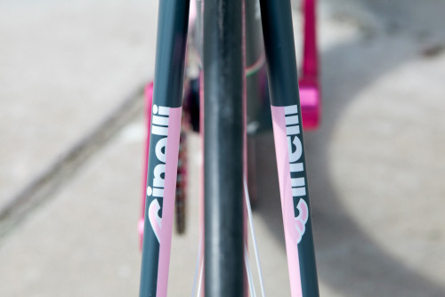 bikeshowcase:  Division 1 Red Hook Crit Navy Yard Cinelli Vigorelli