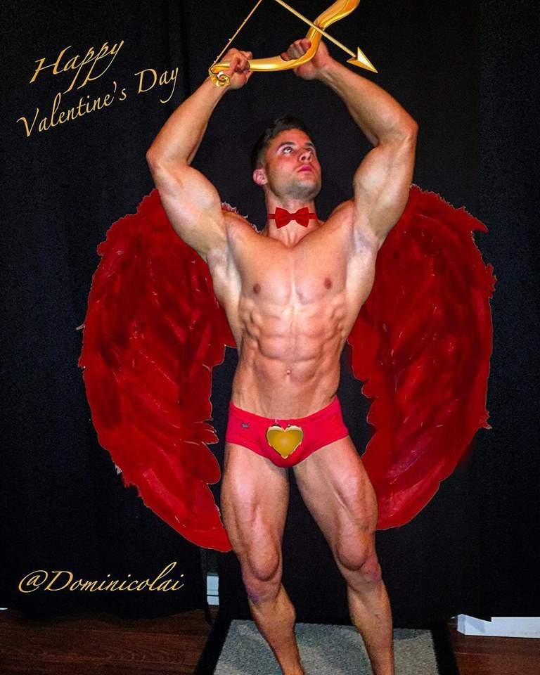   Dominick Nicolai